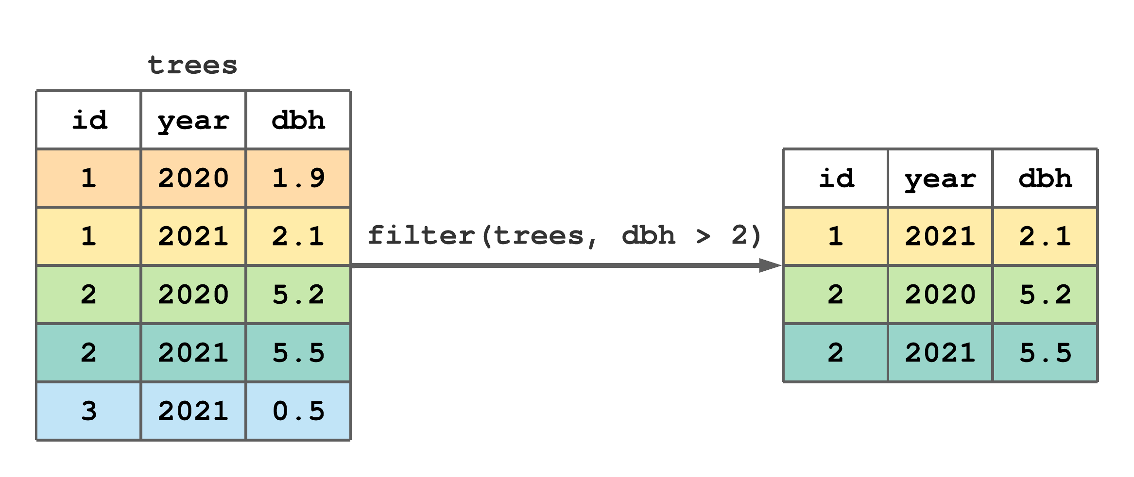 Using `filter()` to subset rows from `trees` with `dbh` greater than 2.
