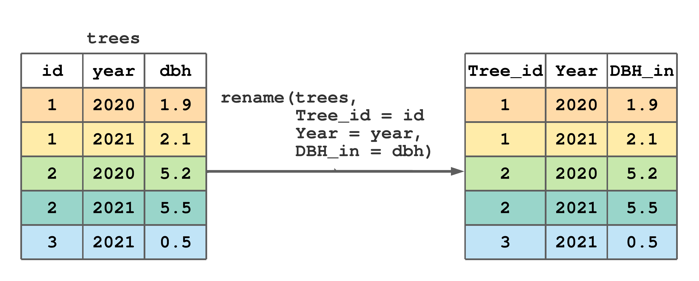 Using `rename()` to rename some column names in `trees`.