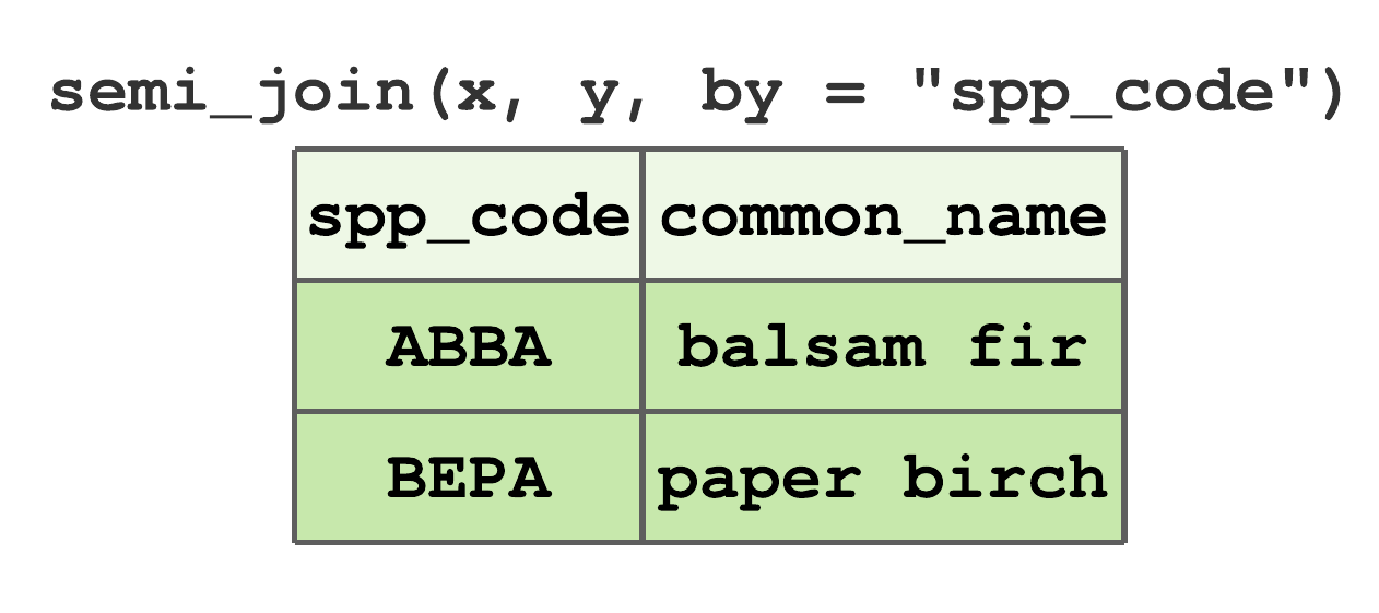 Semi-join by spp_code for tibbles in Figure 7.13.